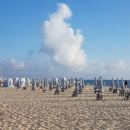 Pura Vida 2 * Figueira da Foz
