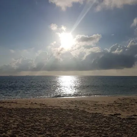 Pura Vida 2 *